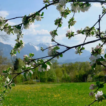 Fewo Frauenschuh Apartment Murnau am Staffelsee